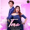 Tera Deewana